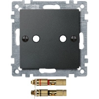 Cen.pla.w.high-end loud.con.TPm ant SysM