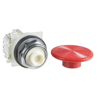 PUSH BUTTON 600VAC 10A 30MM T-K
