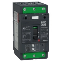 TeSys GV4 - термомагнитна  моторна Защита - 50A 3P - Everlink