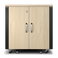 NetShelter SX 42U 600 мм широка перфорирана извита врата черна