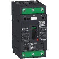 TeSys GV4 - магнитна  моторна Защита - 115A 3P - с EverLink
