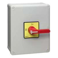 SCHNEIDER ELECTRIC Enclosed emergency switch disconnector 3P 100A IP65 long handle