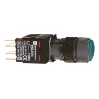 Ill PB metal green flush 12V 1NO+1NC