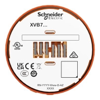 3D